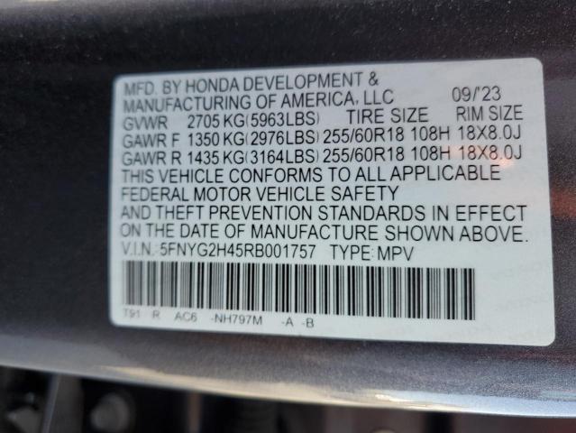 2024 HONDA PILOT EXL - 5FNYG2H45RB001757