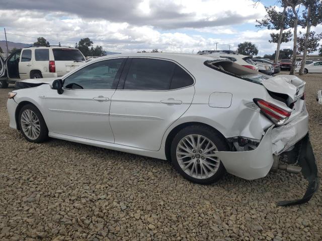 2020 TOYOTA CAMRY XLE 4T1F31AK7LU540994