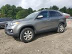 Top Destinations for Shipping Cars from the USA