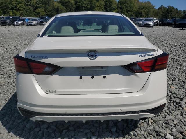 2019 NISSAN ALTIMA PLA 1N4BL4FV6KC173149