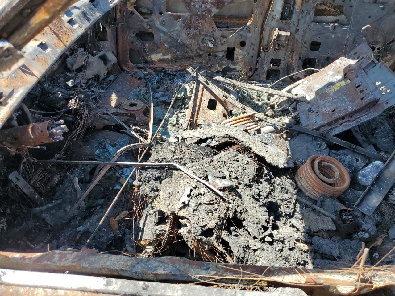 Global Auto Auctions