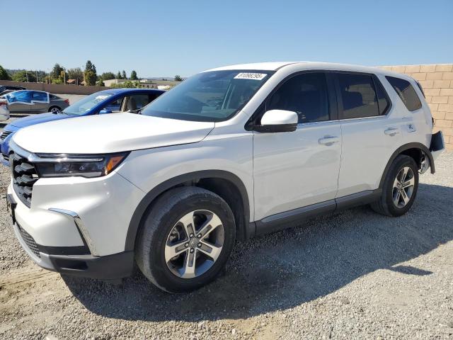 Global Auto Auctions: 2023 HONDA PILOT EXL