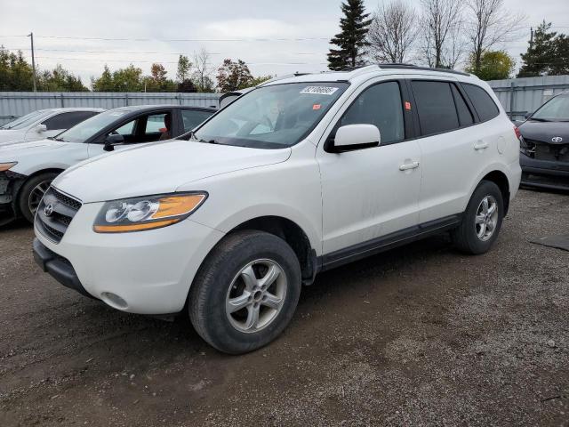 Global Auto Auctions: 2009 HYUNDAI SANTA FE G