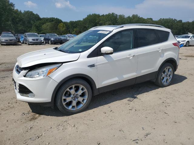 Global Auto Auctions: 2014 FORD ESCAPE TIT