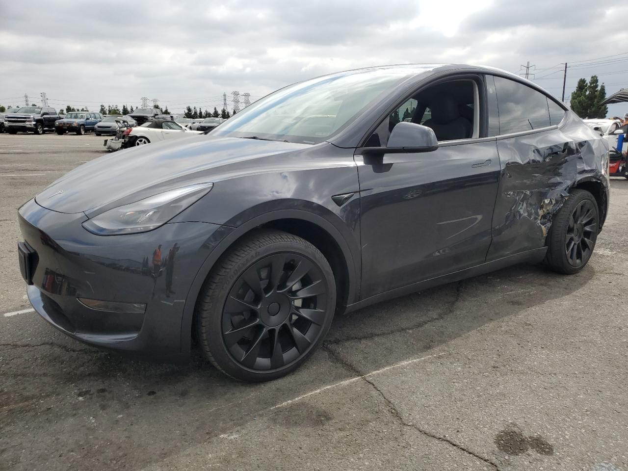 TESLA MODEL Y