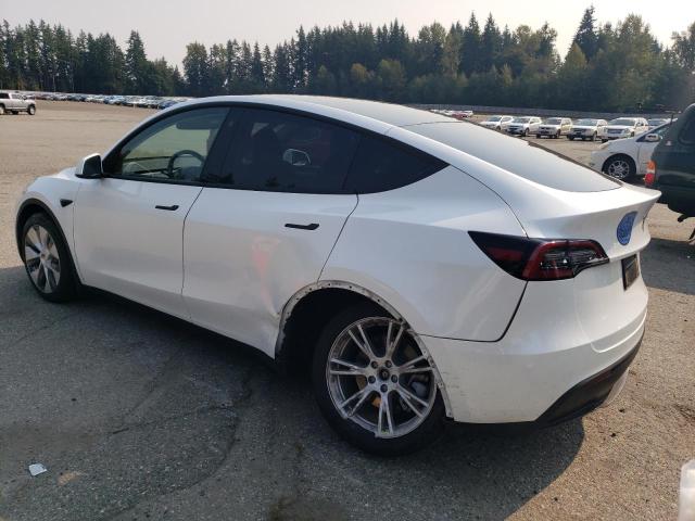 2023 TESLA MODEL Y 7SAYGDEE0PA067140