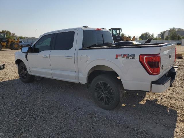 2021 FORD F150 SUPER - 1FTFW1E86MFC94861