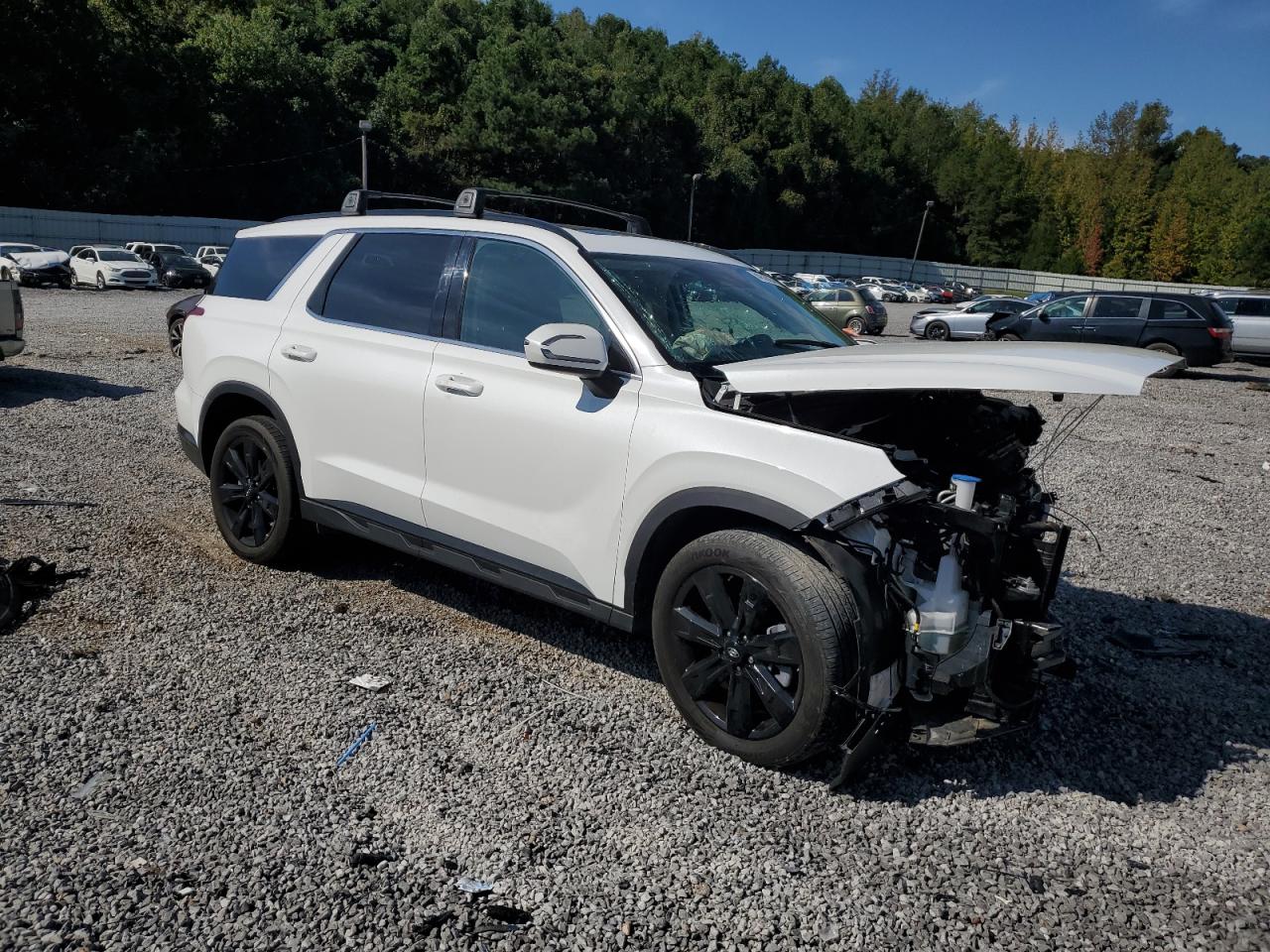 HYUNDAI PALISADE XRT