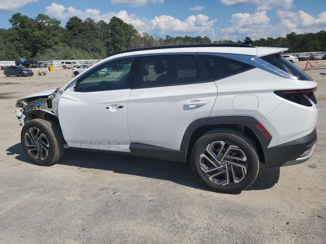 2025 HYUNDAI TUCSON LIM KM8JEDD18SU323977