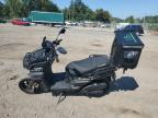 Lot #3297985041 2024 SCOO SCOOTER
