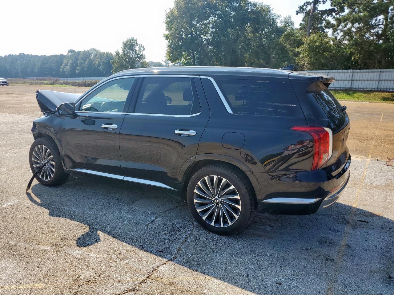 HYUNDAI PALISADE CALLIGRAPHY