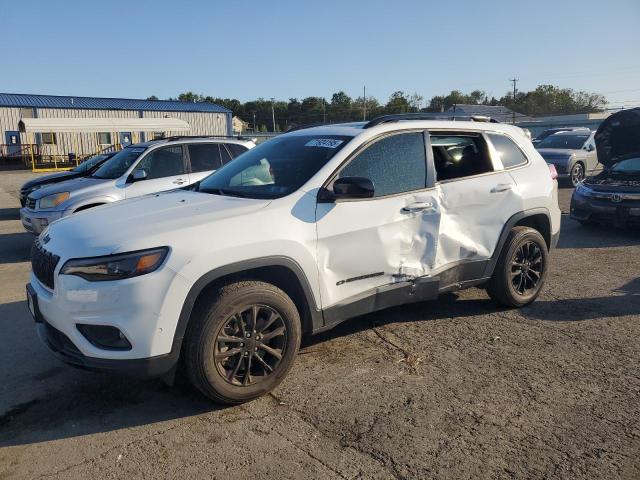 2023 JEEP CHEROKEE A 1C4PJMMB7PD102400