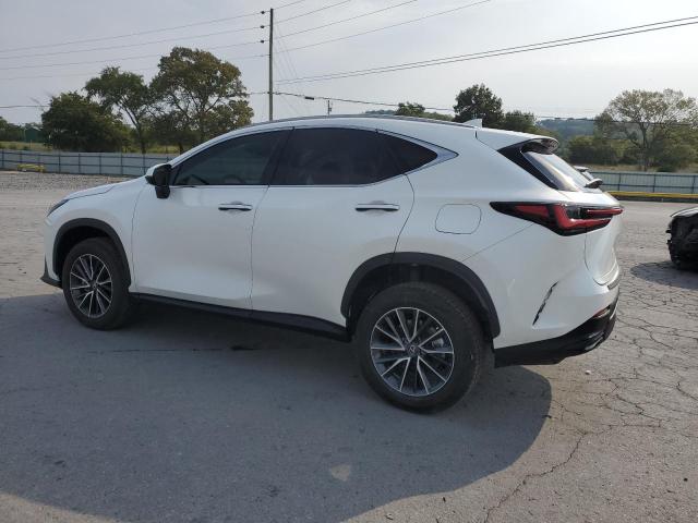 2025 LEXUS NX 250 PRE JTJGDCAZ7S2021918