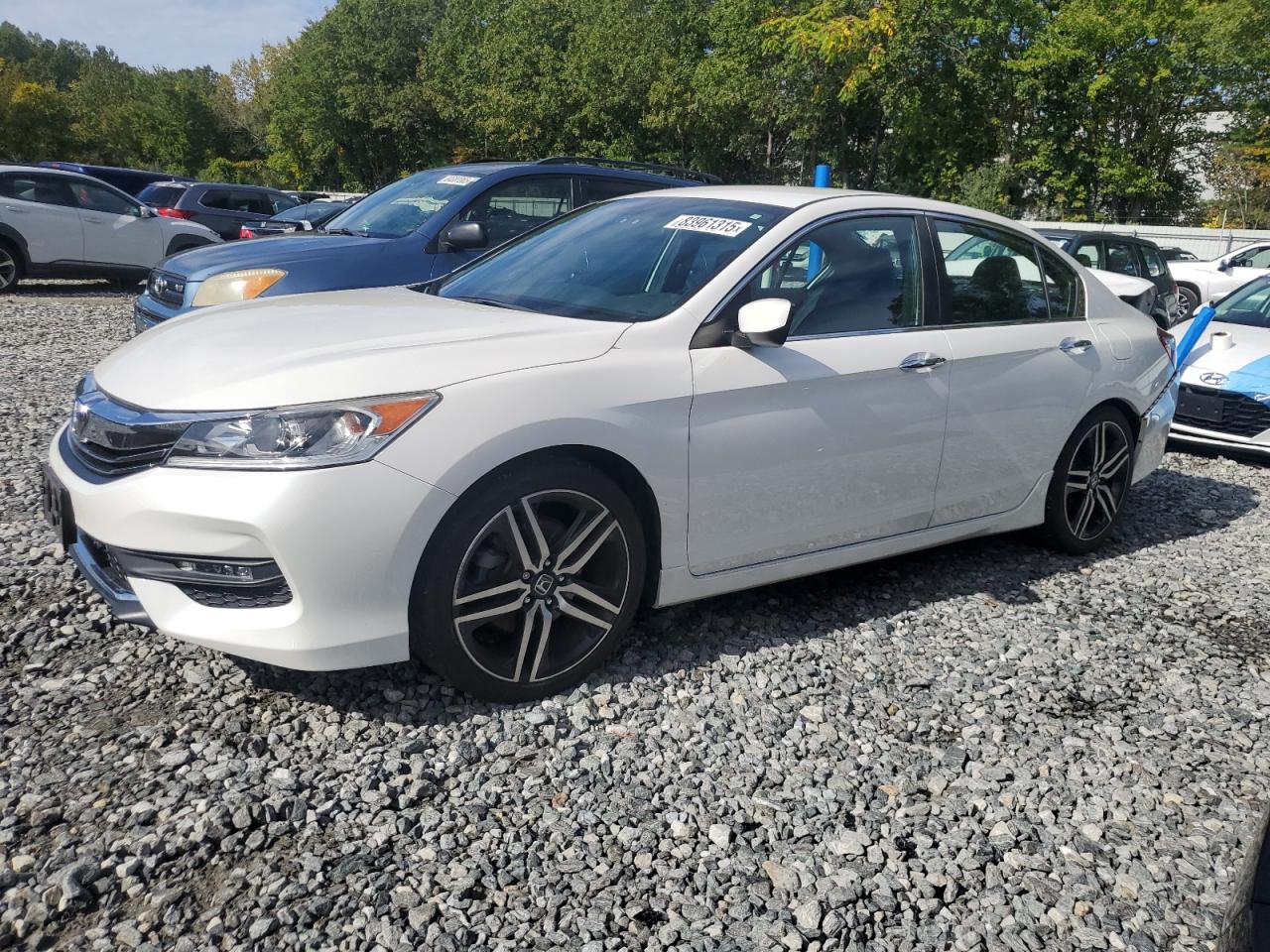 HONDA ACCORD SPORT