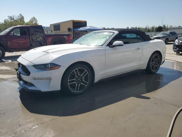 2019 FORD MUSTANG - 1FATP8UH0K5170720