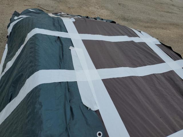 2021 TESLA MODEL S - 5YJSA1E68MF442136