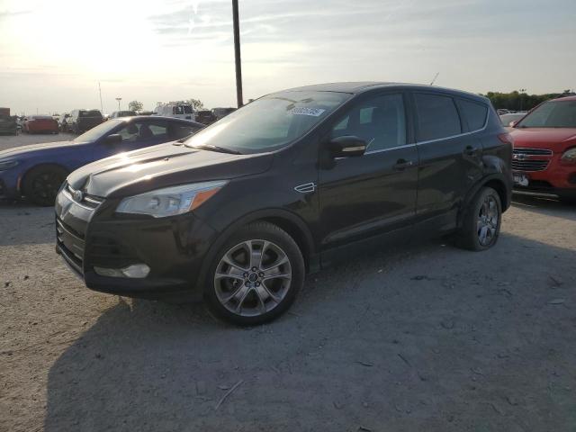 Global Auto Auctions: 2013 FORD ESCAPE SEL