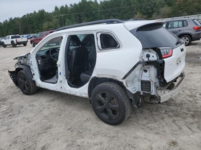 2019 JEEP CHEROKEE L 1C4PJLLX1KD373372