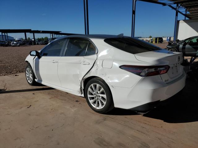 2021 TOYOTA CAMRY LE - 4T1C11AK8MU592841