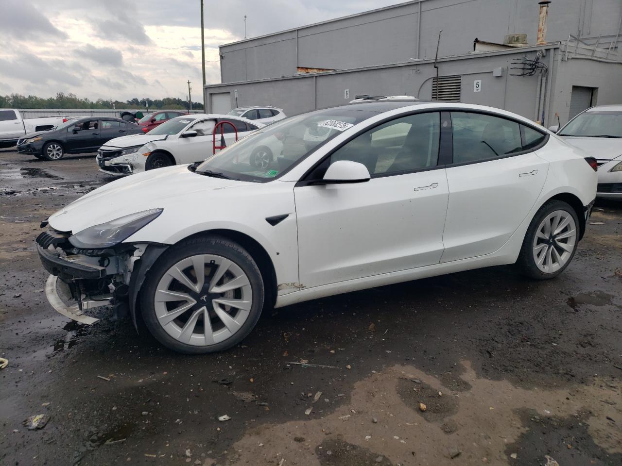 TESLA MODEL 3