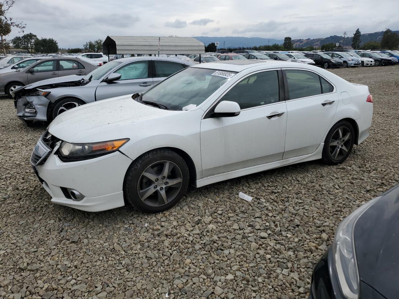 ACURA TSX SE