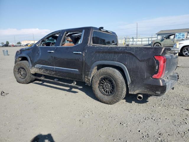 2023 TOYOTA TUNDRA CREWMAX PLATINUM 5TFMA5DB7PX096413