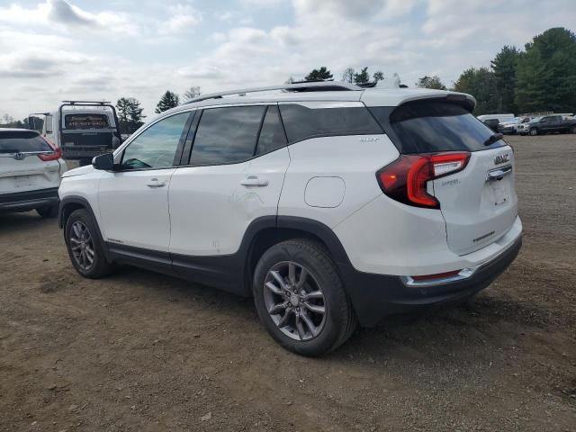 2023 GMC TERRAIN SLT 3GKALVEG3PL126708