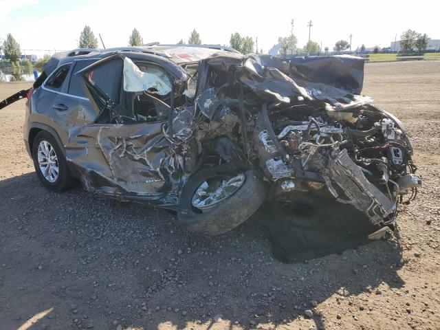 2019 JEEP CHEROKEE L 1C4PJMCX7KD150064