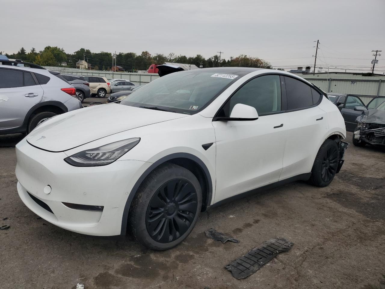 TESLA MODEL Y