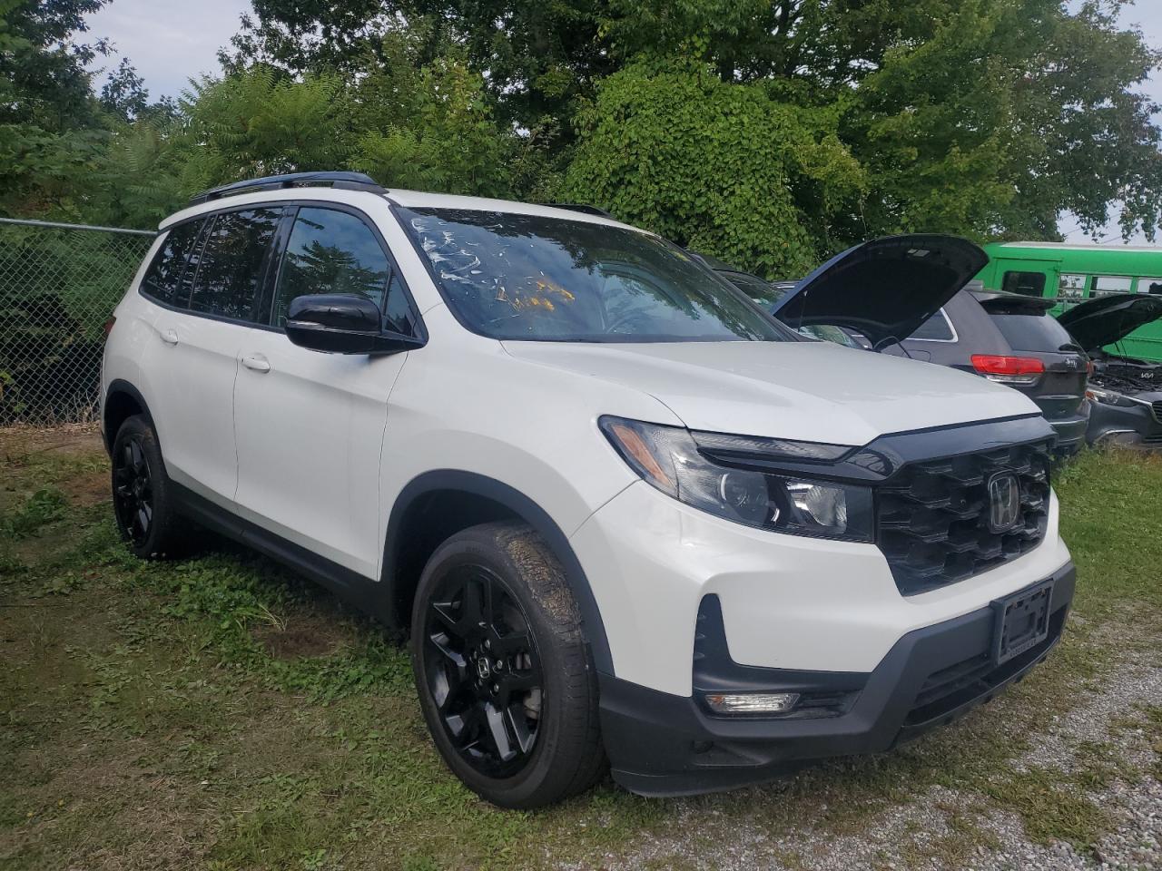 HONDA PASSPORT ELITE