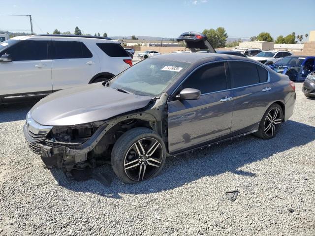 HONDA ACCORD SPO