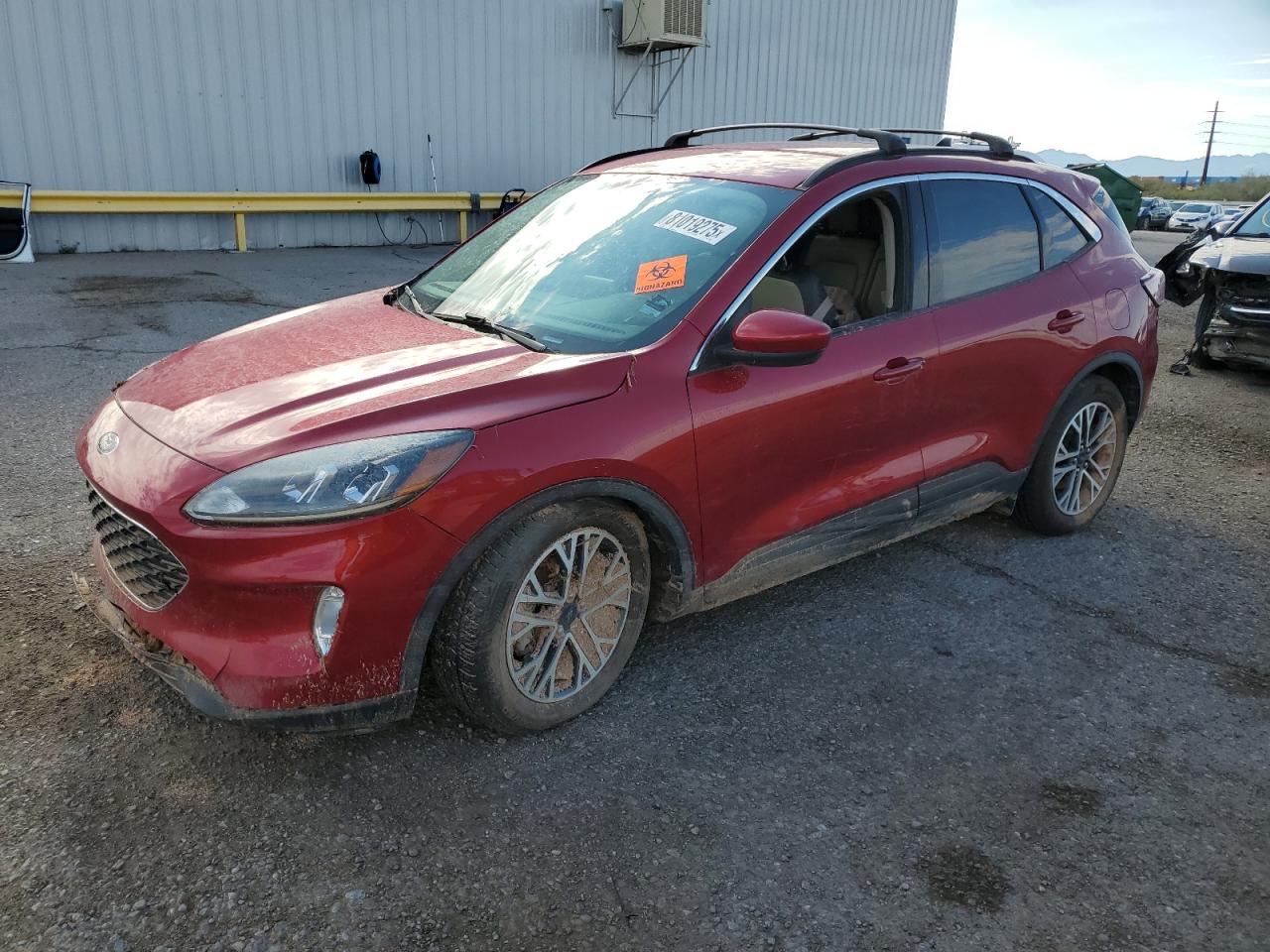 FORD ESCAPE SEL
