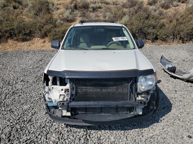 2010 FORD ESCAPE XLT - 1FMCU9D73AKC72556