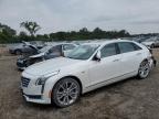Top Destinations for Shipping Cars from the USA