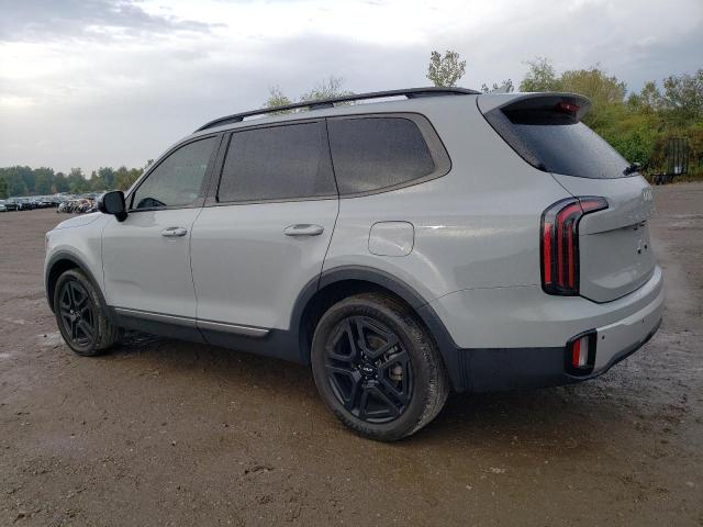 2023 KIA TELLURIDE 5XYP3DGC0PG401582