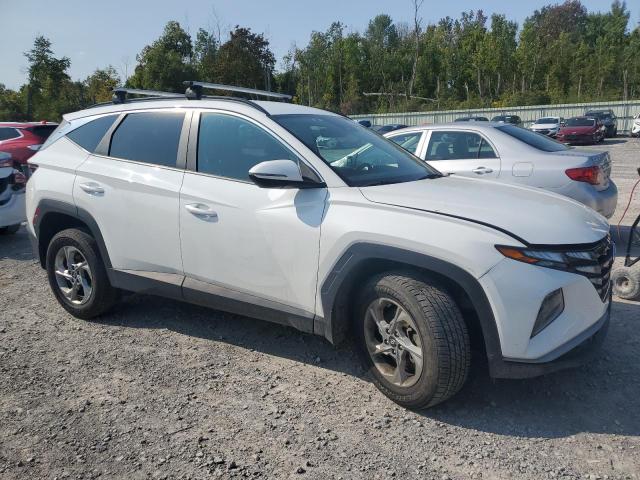 2023 HYUNDAI TUCSON SEL 5NMJBCAE2PH191991
