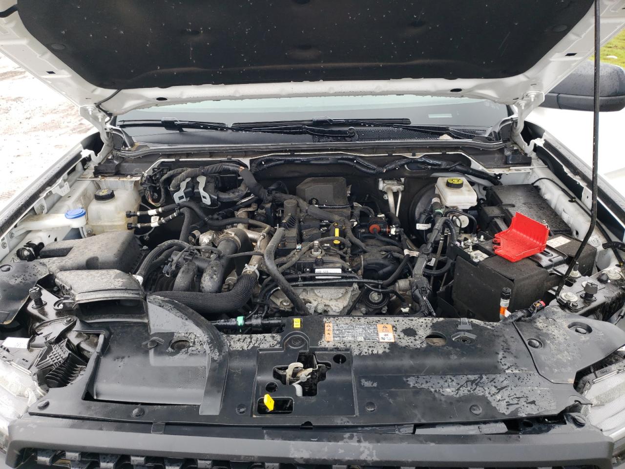 Lot #3311527259 2024 FORD RANGER XL