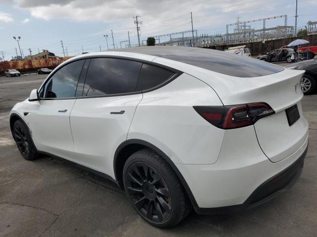2023 TESLA MODEL Y 7SAYGDEE9PA071588