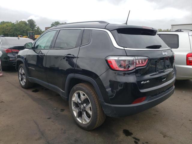 2021 JEEP COMPASS LI 3C4NJDCBXMT541699