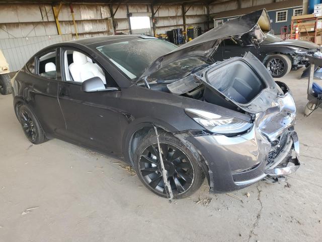 2021 TESLA MODEL Y 5YJYGDEE7MF206059