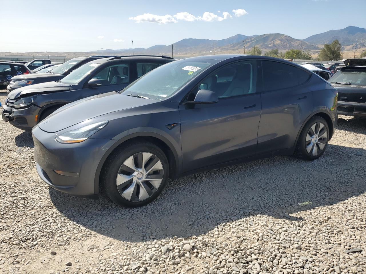 Lot #3286771888 2023 TESLA MODEL Y