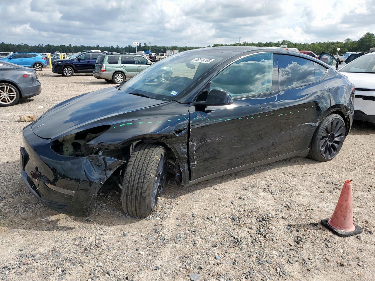 Lot #3291477969 2025 TESLA MODEL Y