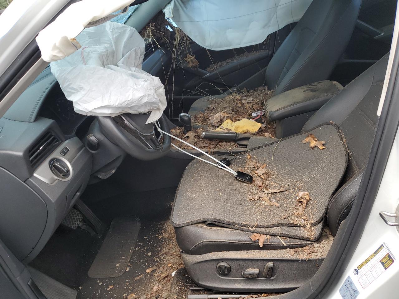 VOLKSWAGEN PASSAT SE