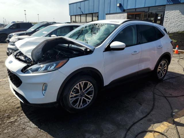 Global Auto Auctions: 2020 FORD ESCAPE SEL