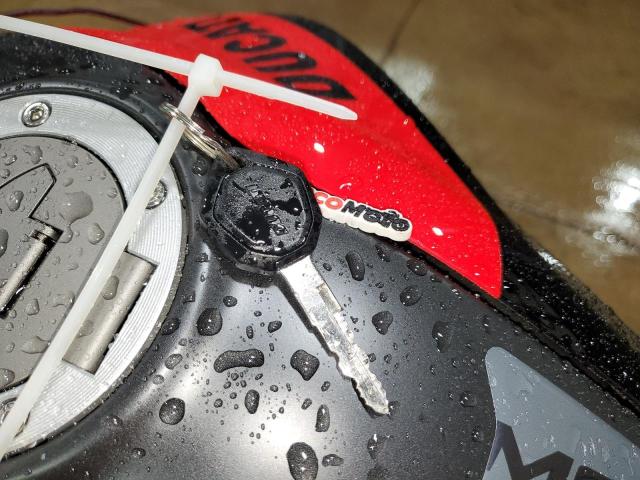 2023 DUCATI MONSTER #3309256618