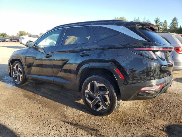 2023 HYUNDAI TUCSON LUX KM8JDDA21PU112644