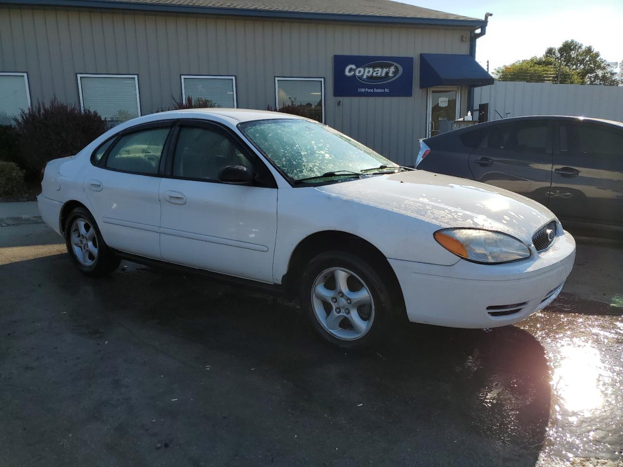 Lot #3234395080 2006 FORD TAURUS SE