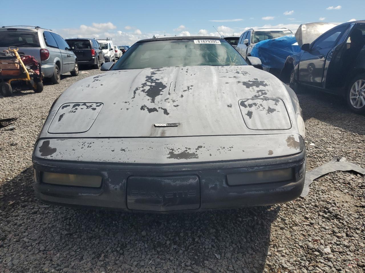 Lot #3255386437 1995 CHEVROLET CORVETTE