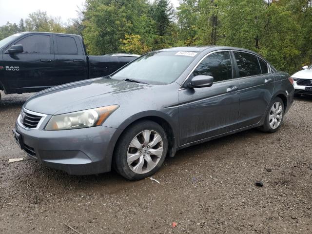 2010 HONDA ACCORD EXL - 1HGCP2F84AA807748