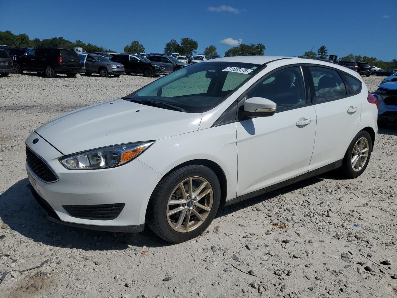 FORD FOCUS SE